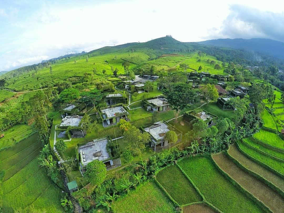 TEA GARDEN RESORT 37/46