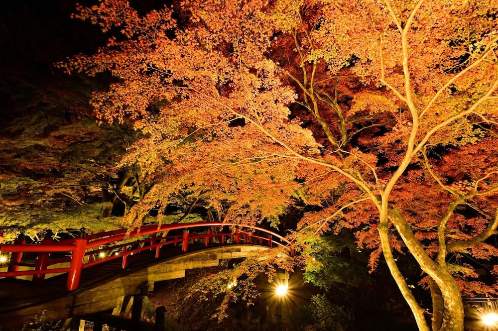 Mimatsukan 28/31