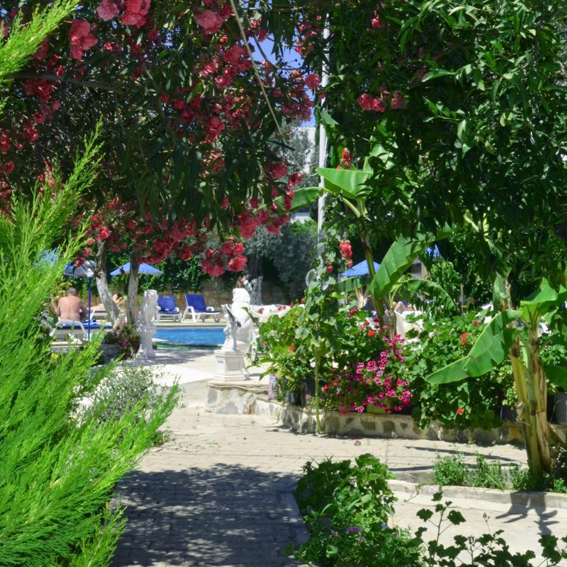 Ali Baba Hotel 49/55