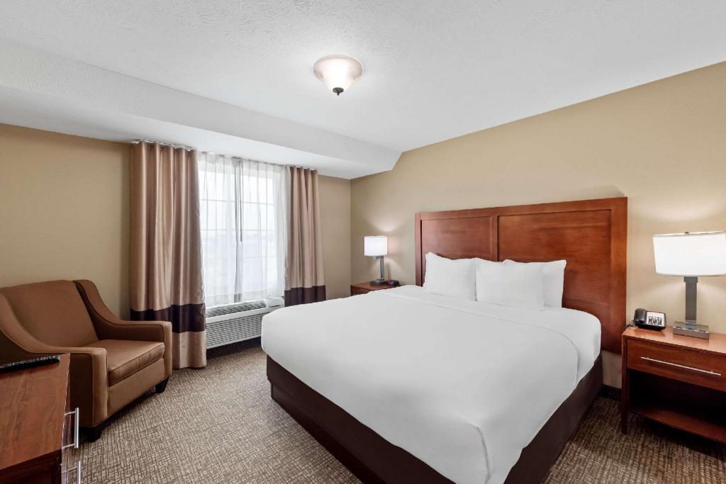 Upgrade, Suite, King Bed