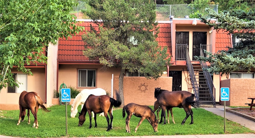 Pinecliff Village Resort image