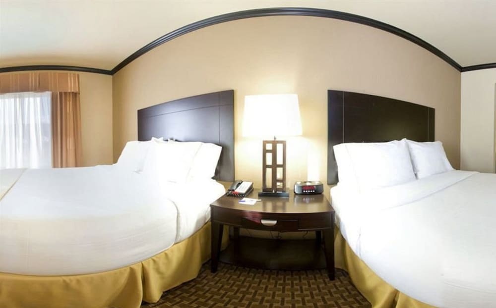 Holiday Inn Express Hotel & Suites Corpus Christi 18/44