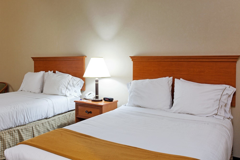Holiday Inn Express Hotel And Suites Sylacauga 12/52