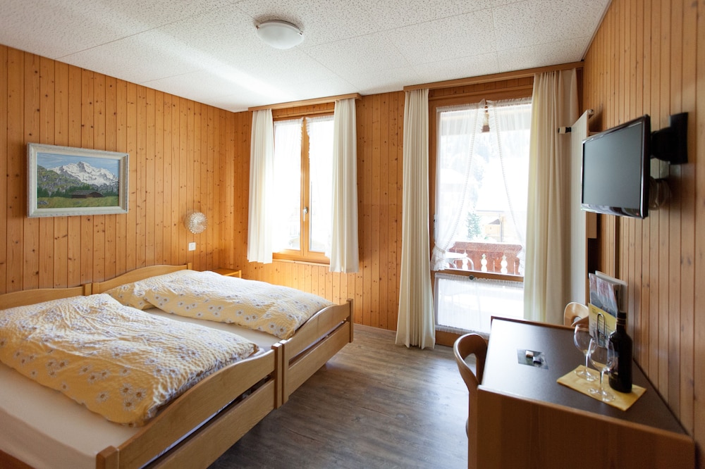 Hotel Edelweiss 19/60