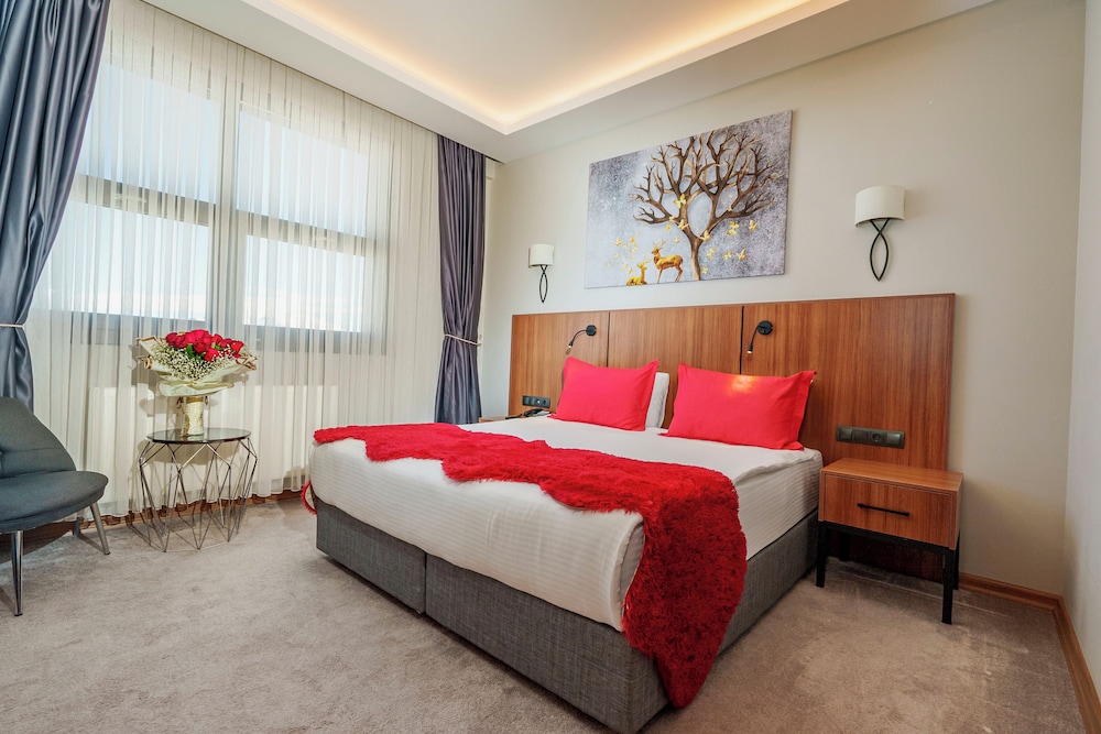 Library Hotel Erciyes 5/43