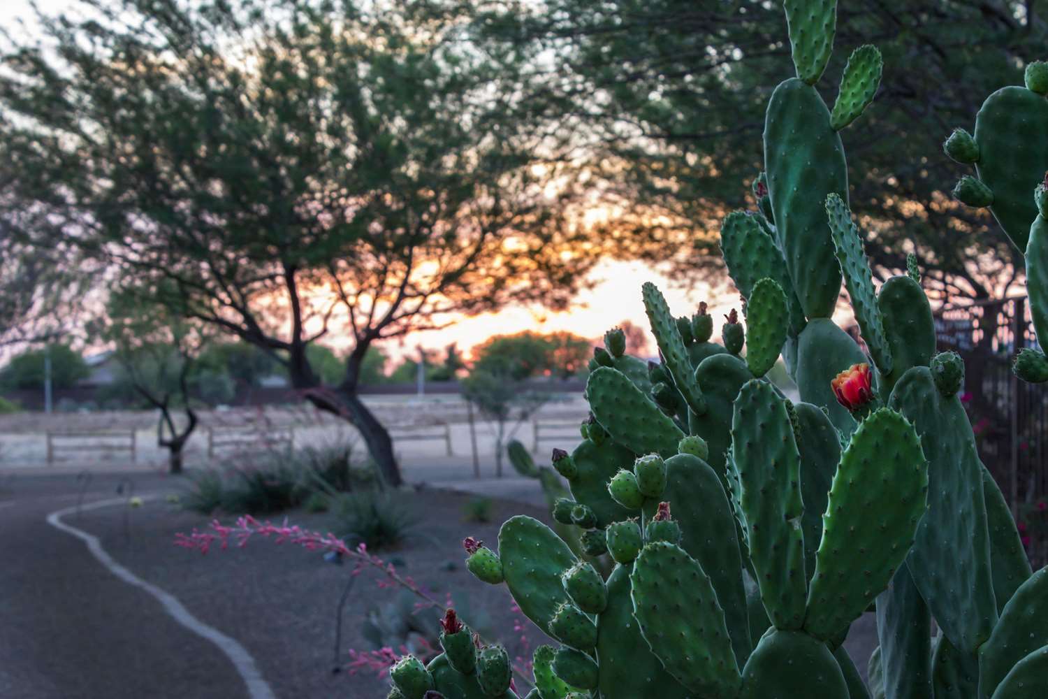 Bluegreen Vacations Cibola Vista Resort and Spa, an Ascend Collection Resort 46/49