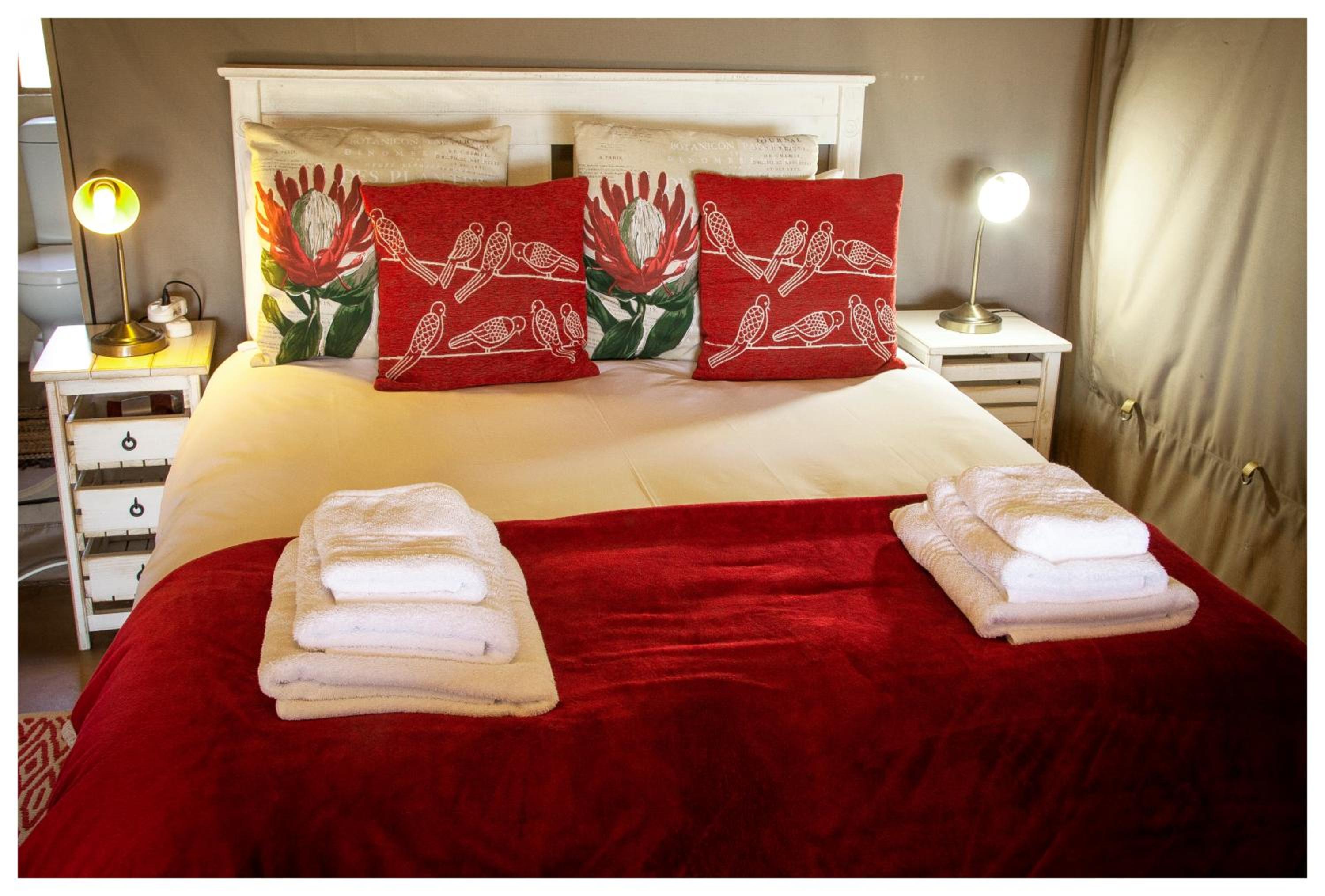Thali Thali Game Lodge 11/50