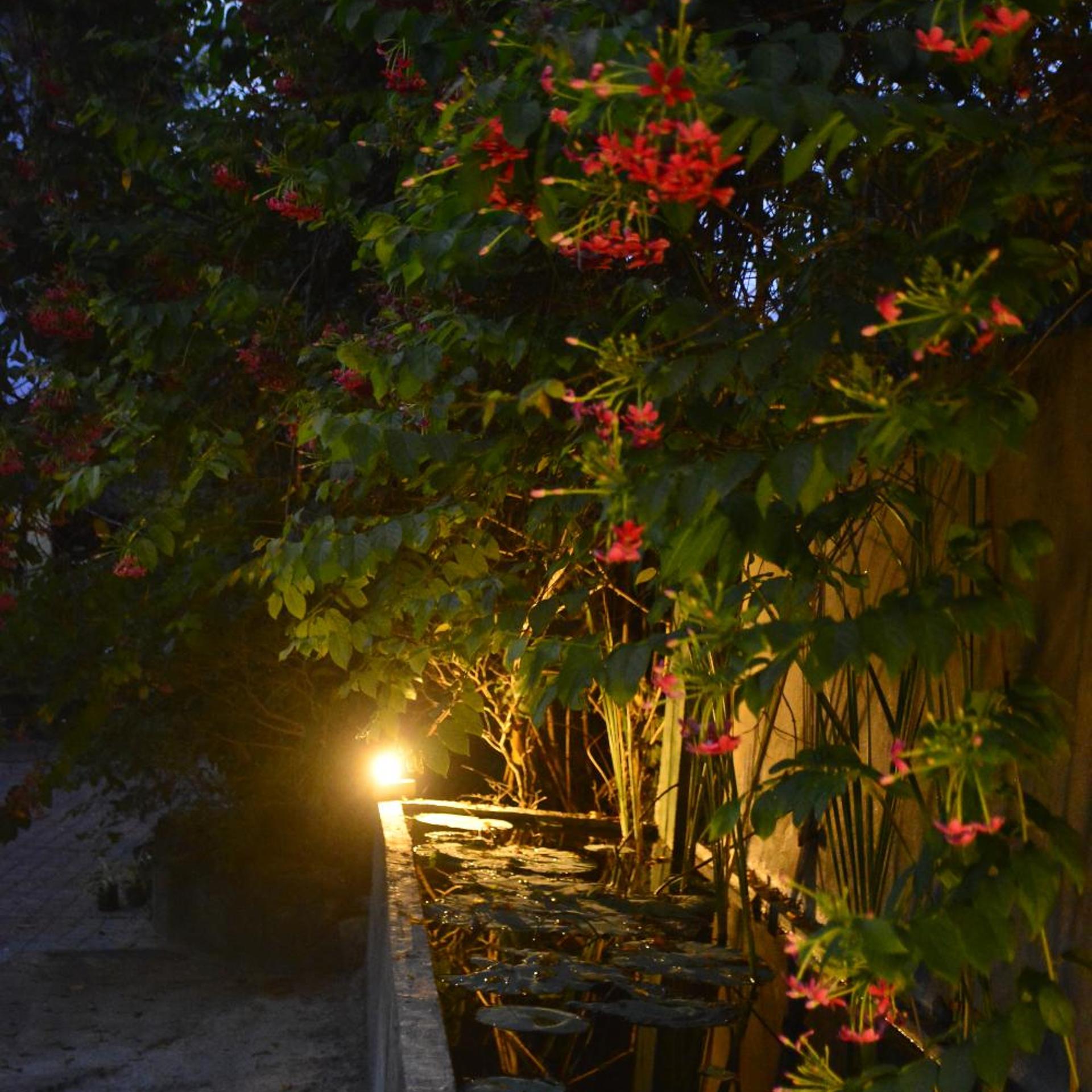 Seyara Holiday Resort 48/54