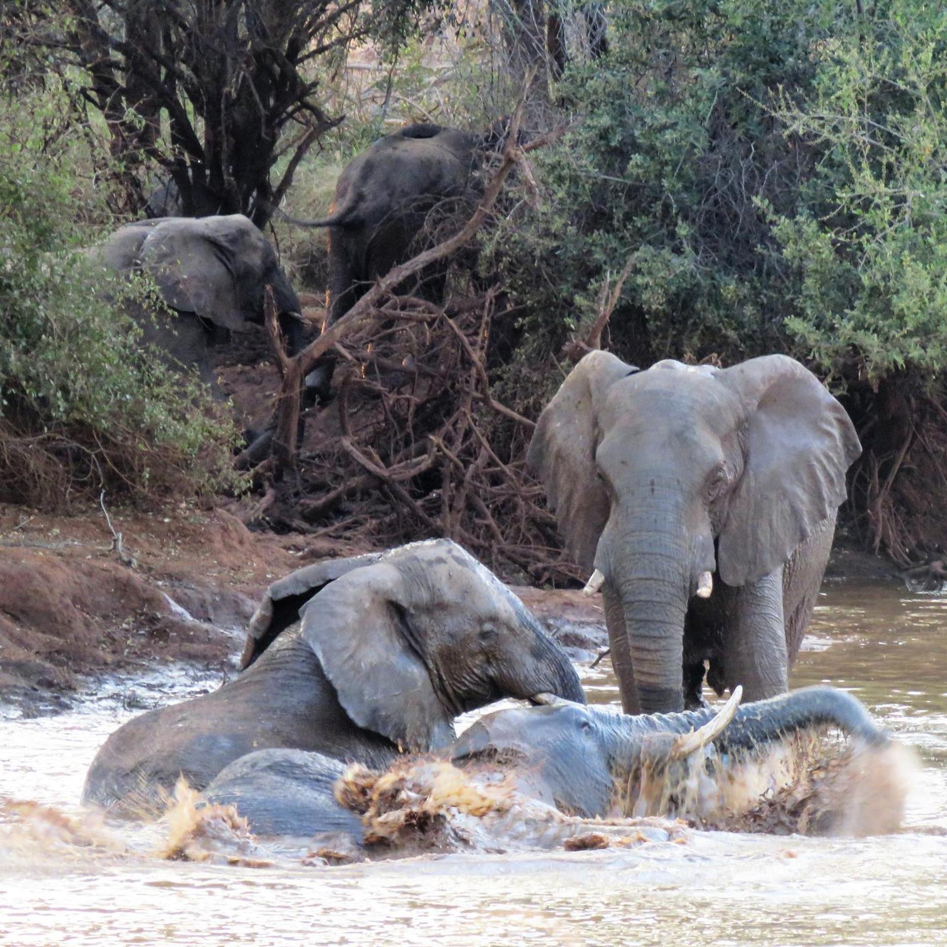 Sable Creek Safari Lodge 17/21