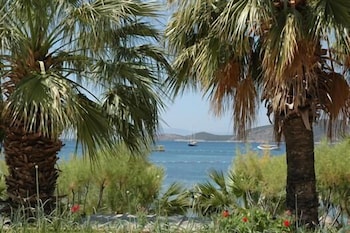 Sami Beach Hotel 38/50