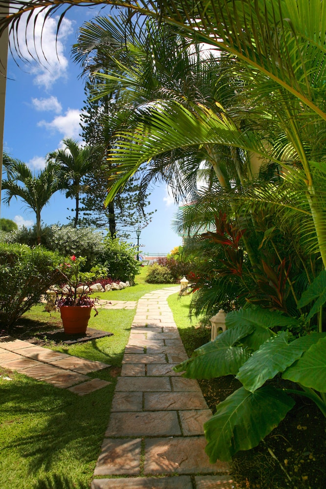 Blue Orchids Beach Hotel 27/46