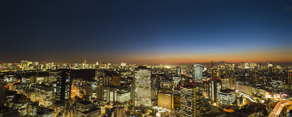 Tokyo Dome Hotel 47/53