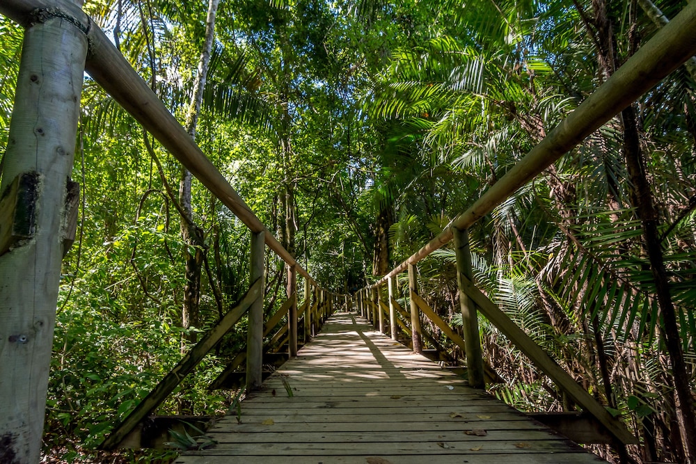 Manuel Antonio 41/49