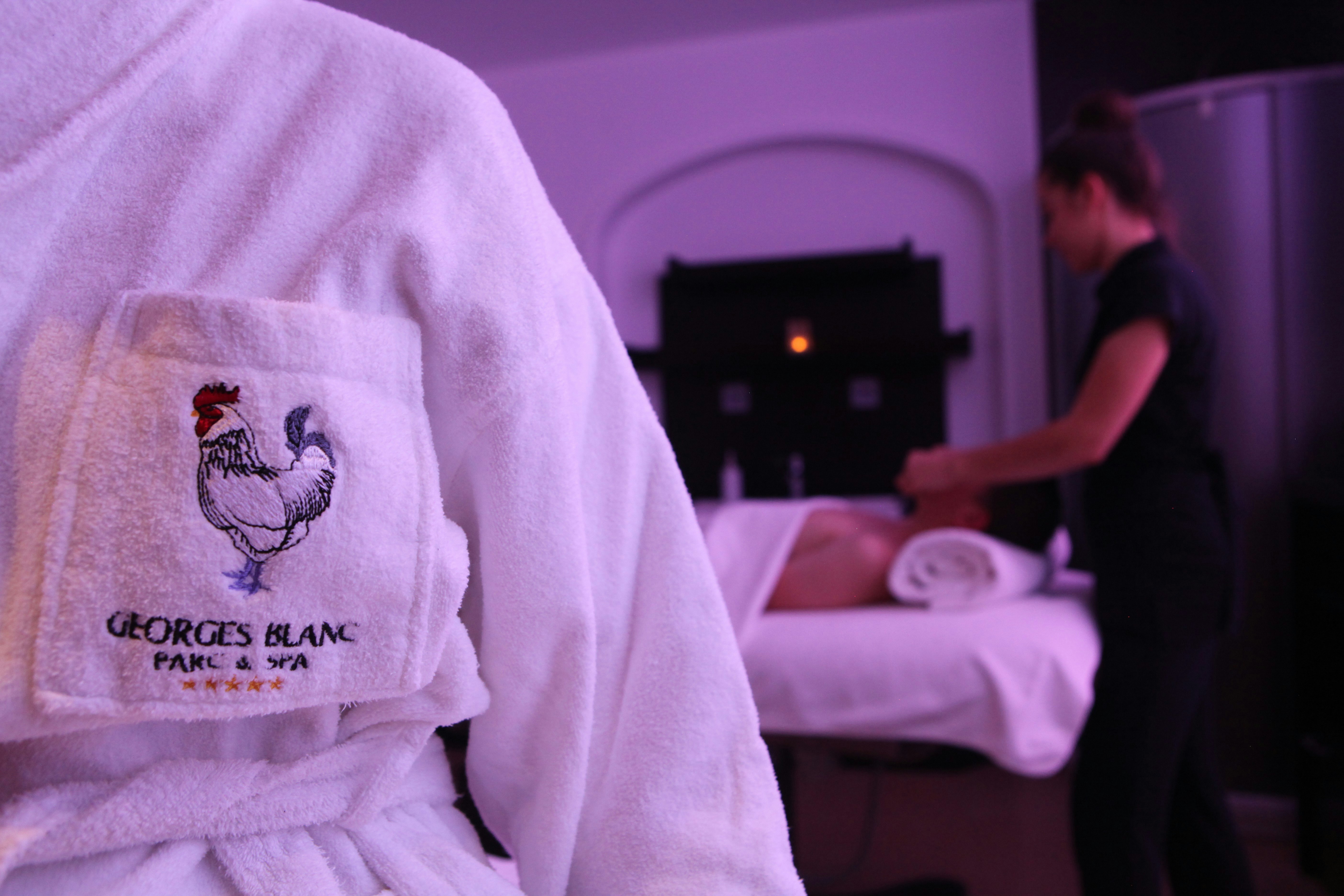 Georges Blanc Parc & Spa 26/34