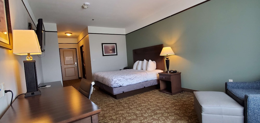 Best Western Plus Emory At Lake Fork Inn And Suites 7/42