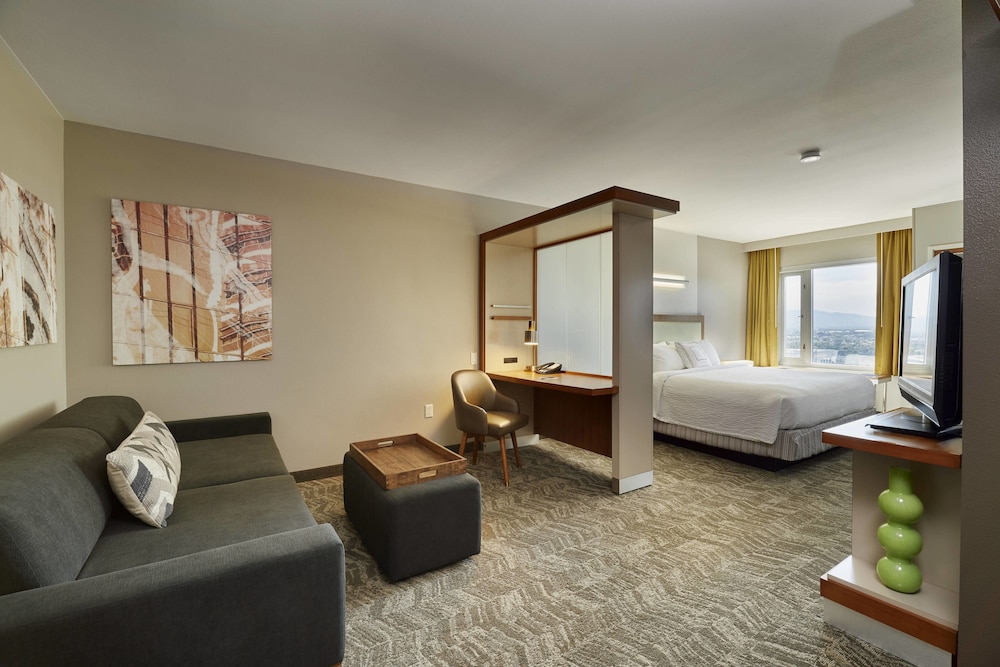 Springhill Suites Las Vegas Convention Center 31/55