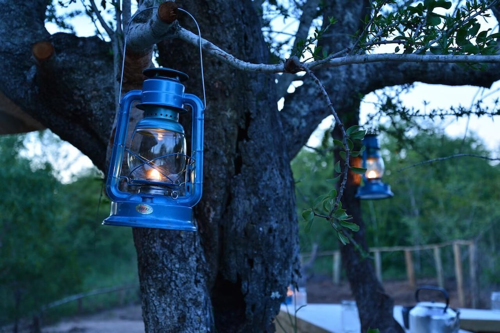 Wild Olive Tree Camp 20/20