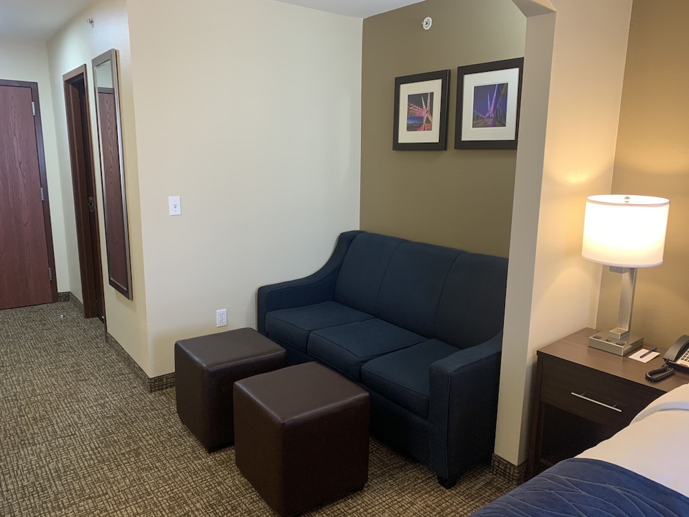 Comfort Inn and Suites Atoka 15/20