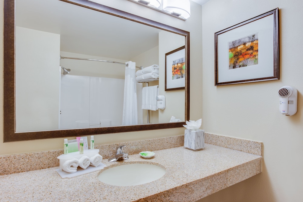 Holiday Inn Express & Suites I-95 Capitol Beltway-Largo 12/57