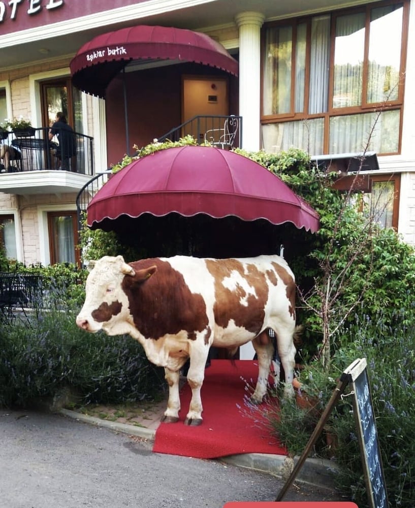 Asiklar Butik Otel By Sukru 47/50