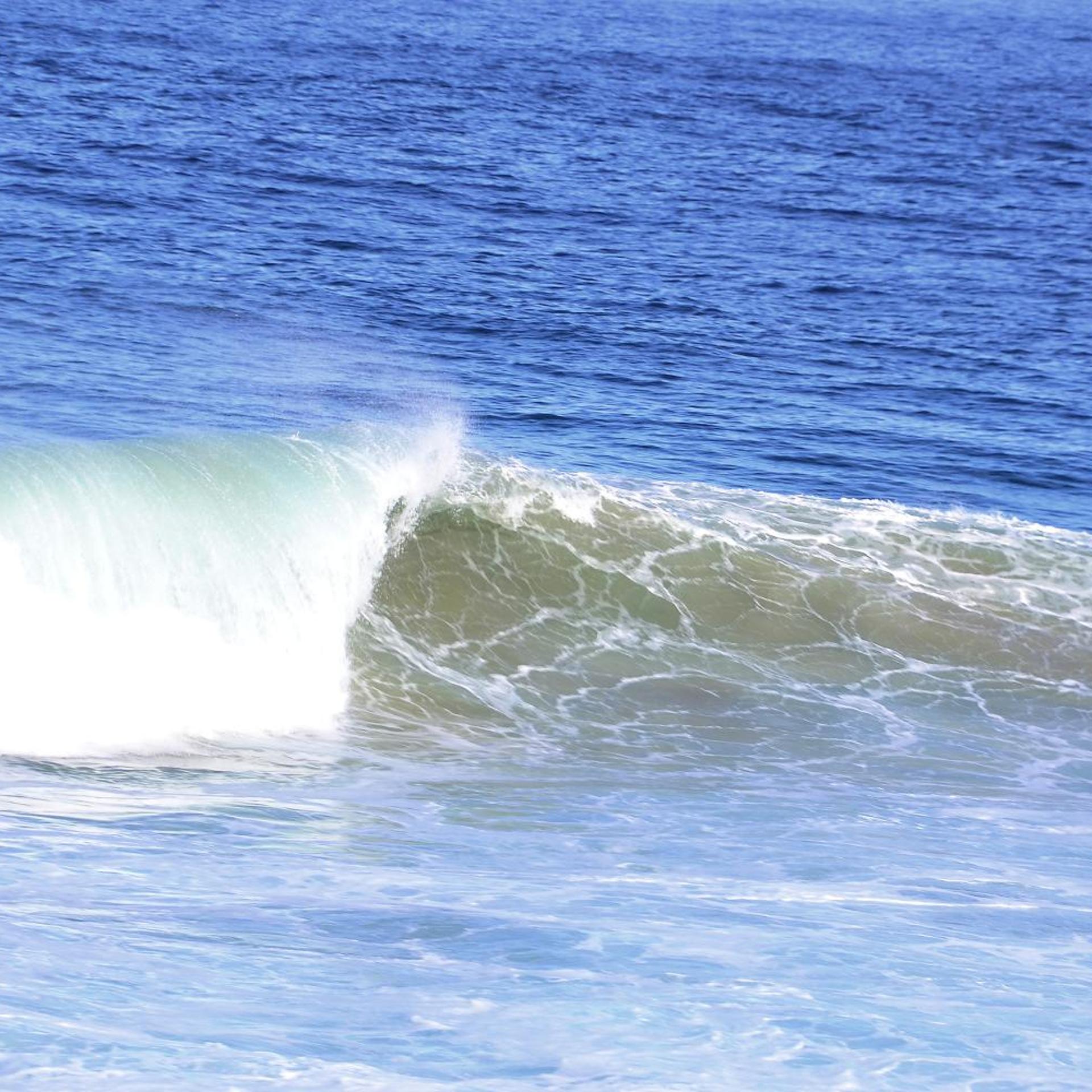 Blue Whale Resort 37/50