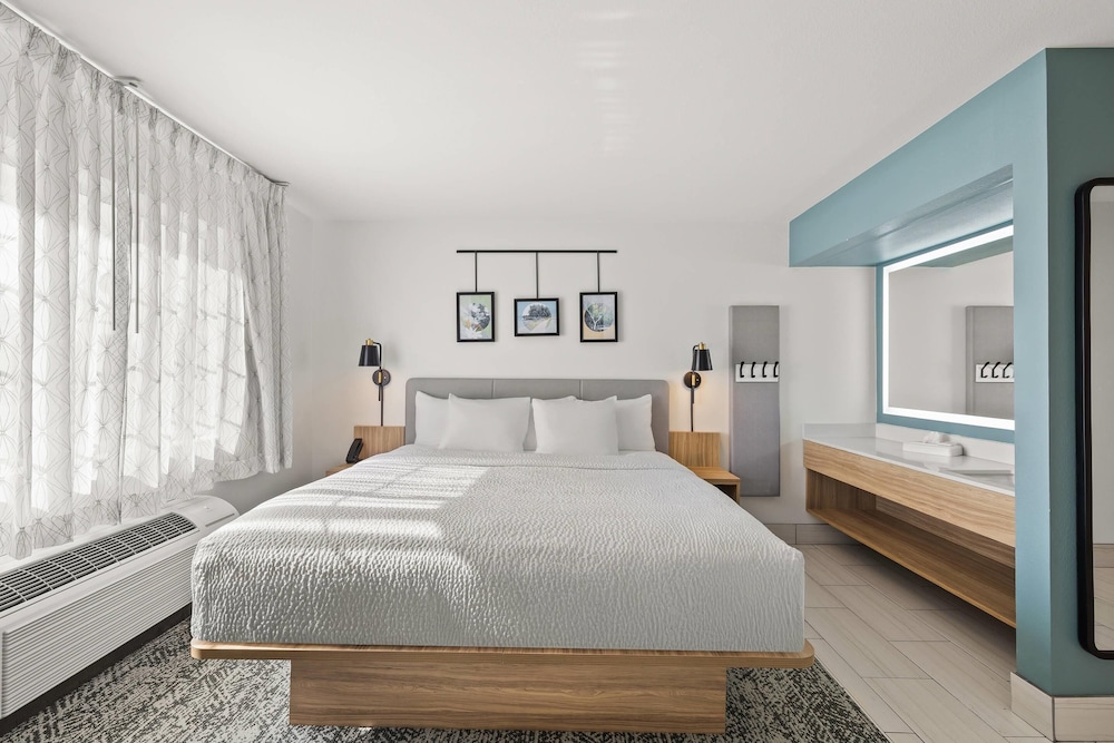 Upgrade, Suite, King Bed, Sofa