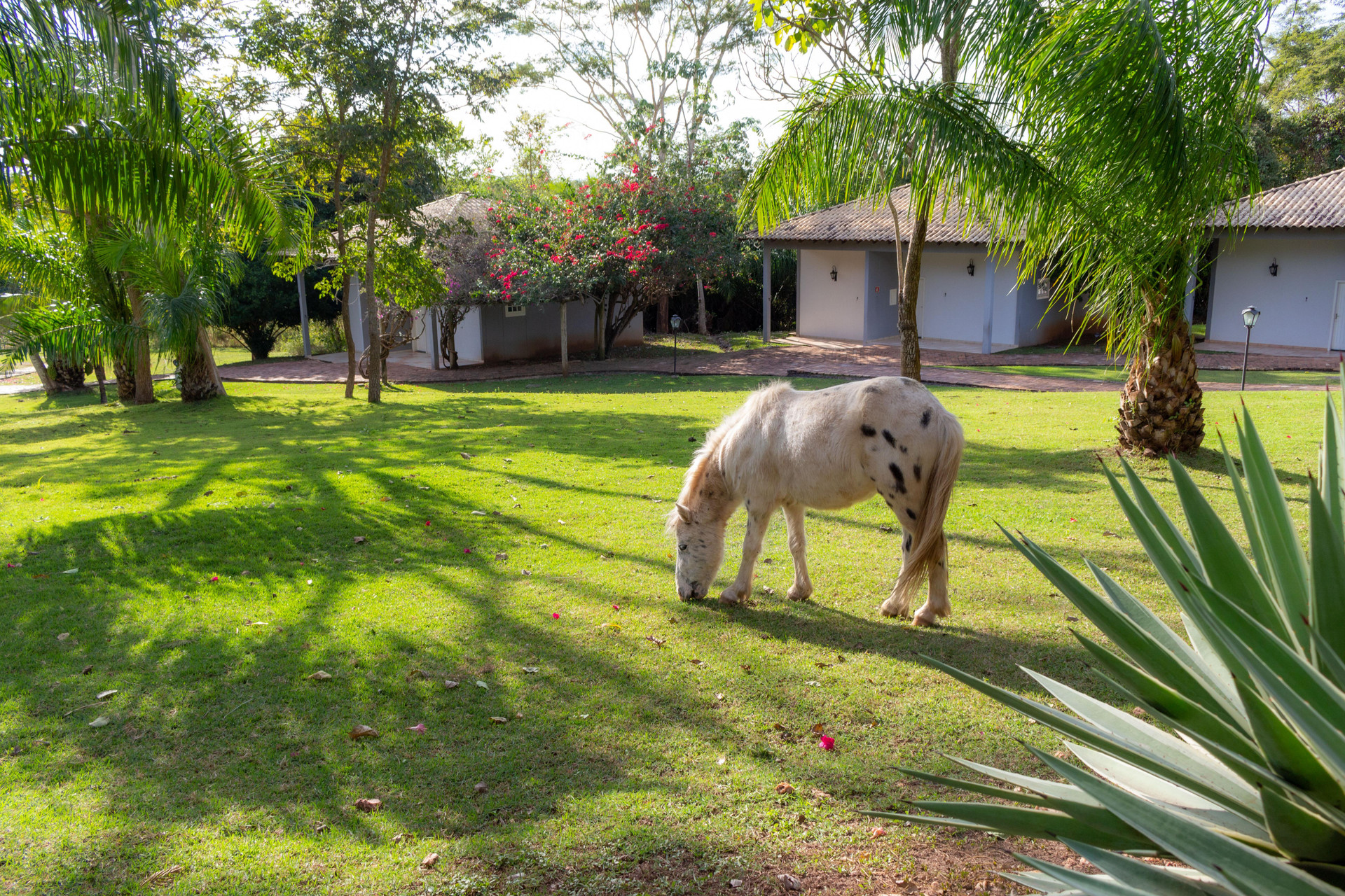 Hotel Fazenda Cachoeira Serra da Bodoquena 26/42