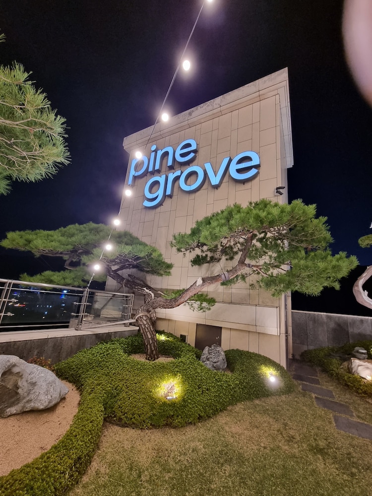 Pine Grove Hotel 54/57