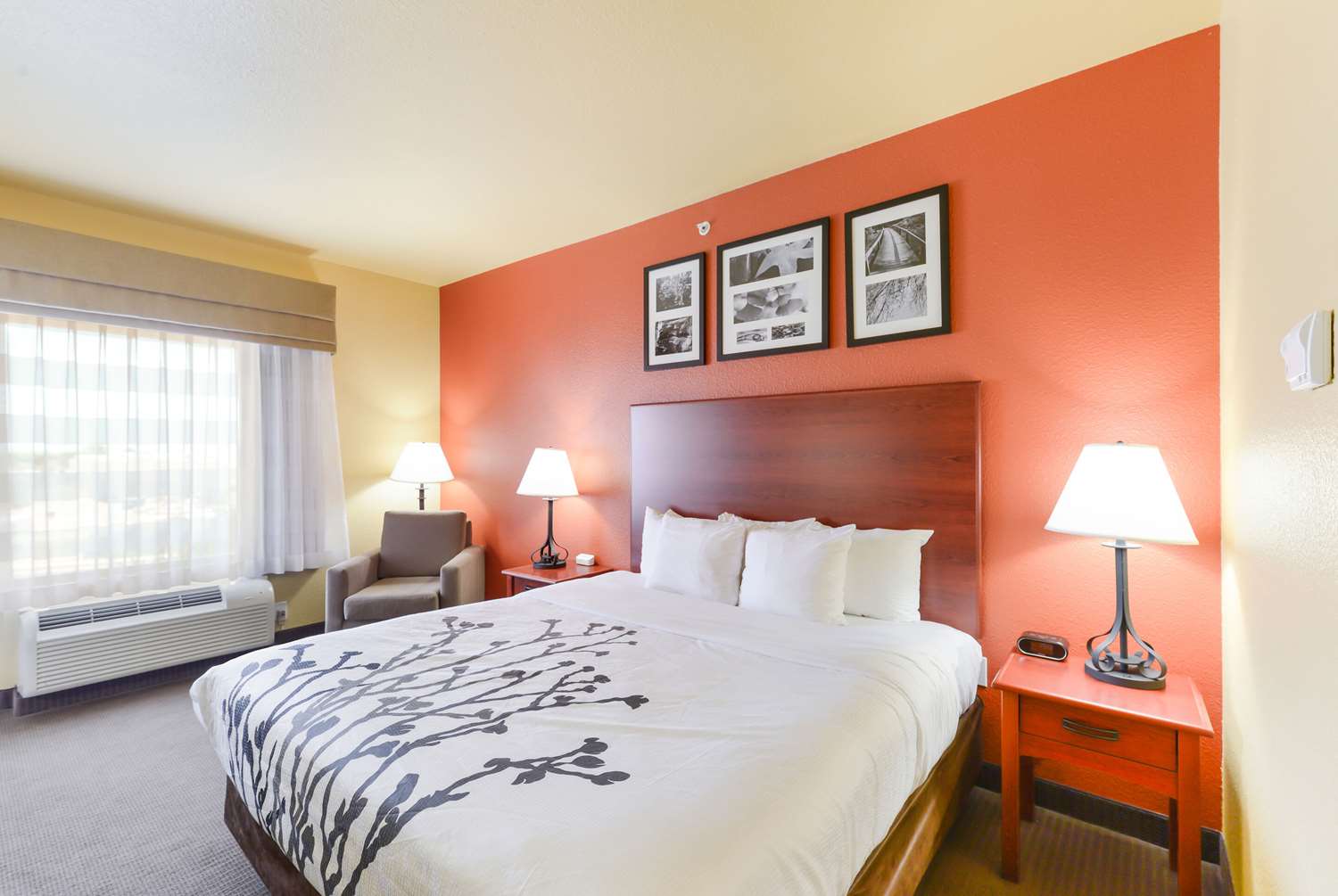 ROOM, KING BED, ACCESSIBLE
