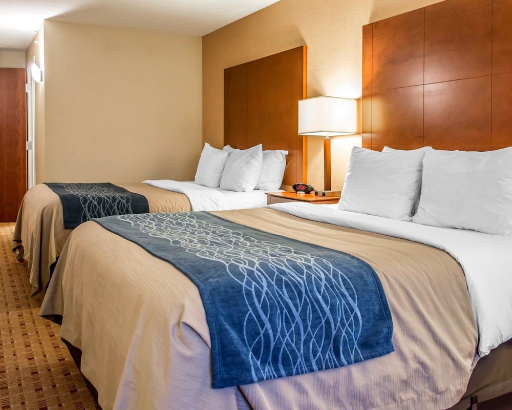 Comfort Inn & Suites Franklin East 18/47