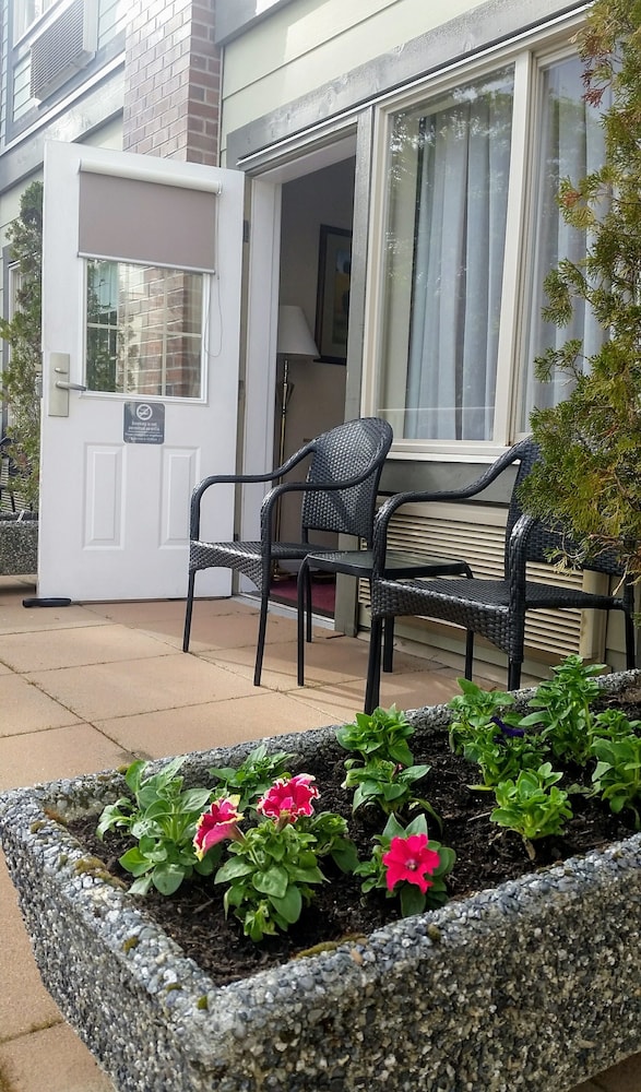 Elk Lake Inn Suites Victoria 5/81