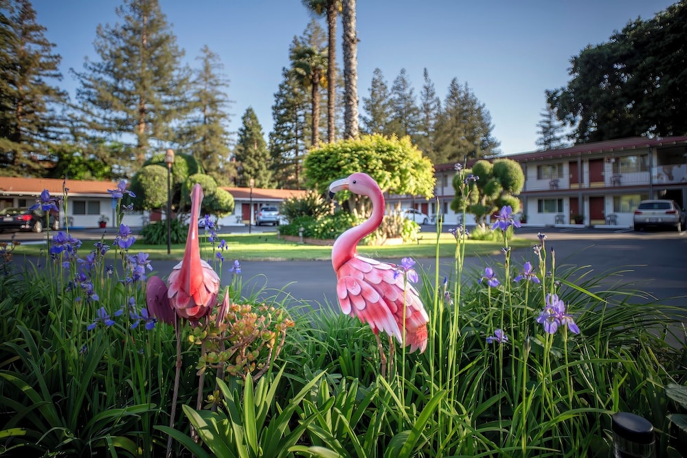 The Palo Alto Inn 36/45