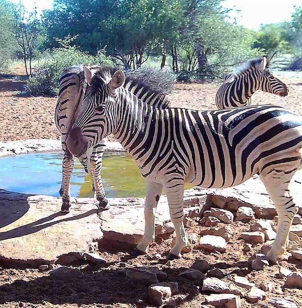 Gamagara Africa Private Nature Reserve 44/49