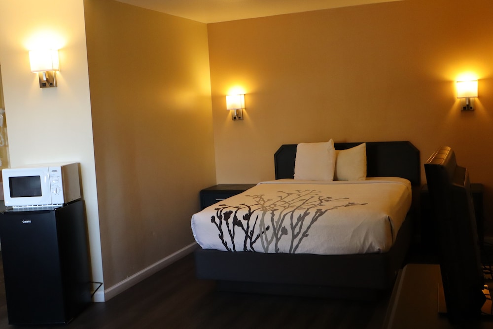 Econo Lodge Inn & Suites Montrose - Black Canyon Area 24/47