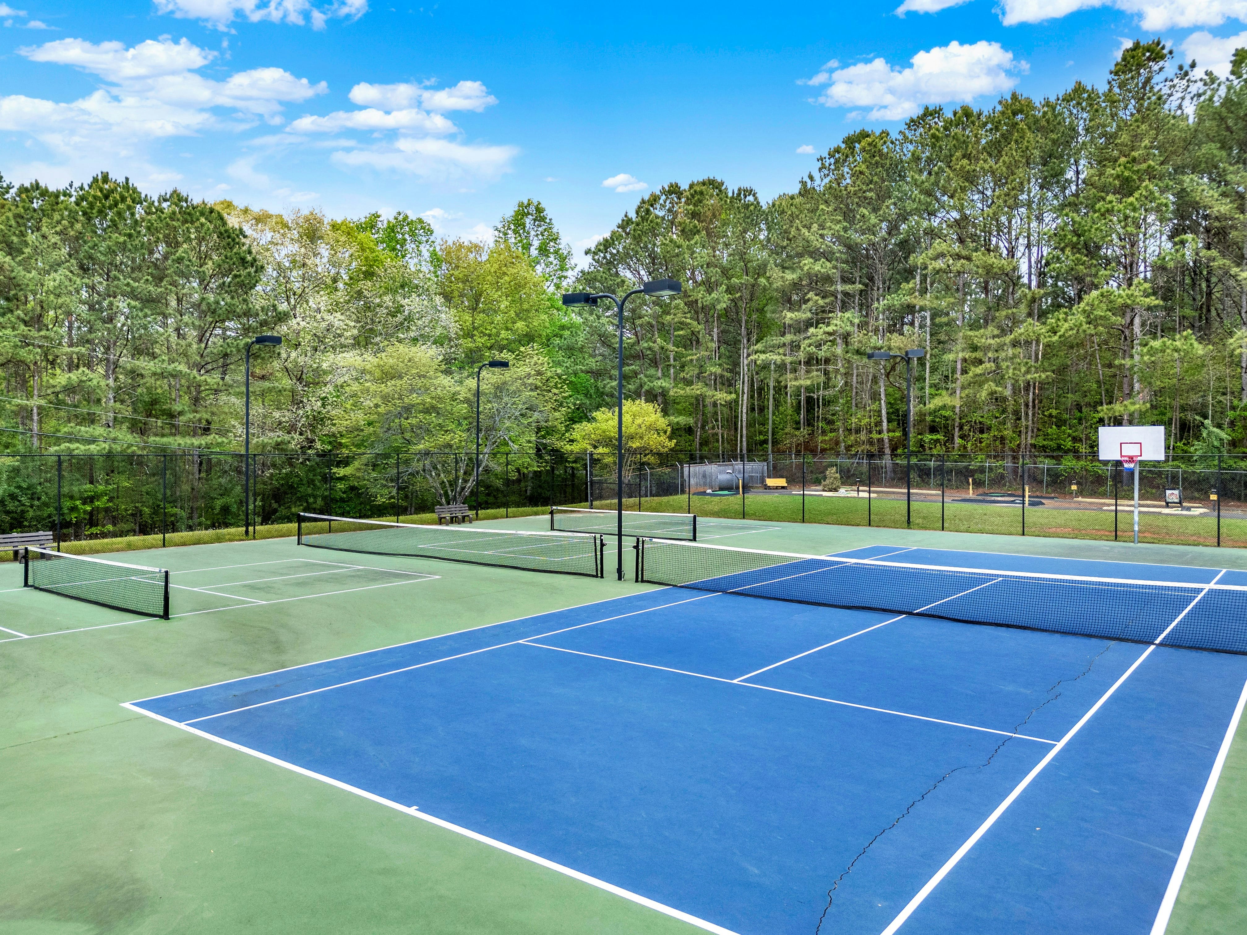 The Villas at Coosawattee River Resort 3/17