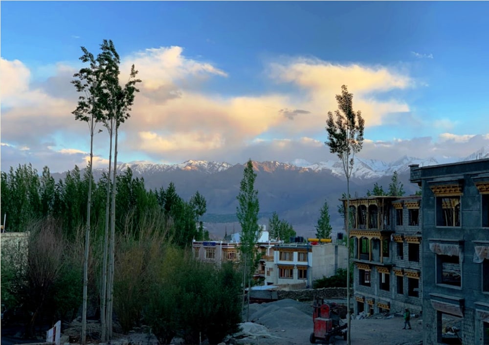 Hotel Ladakh Heaven 10/35
