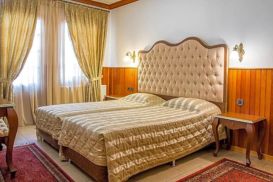 HOTEL APOLLON METSOVO 17/49