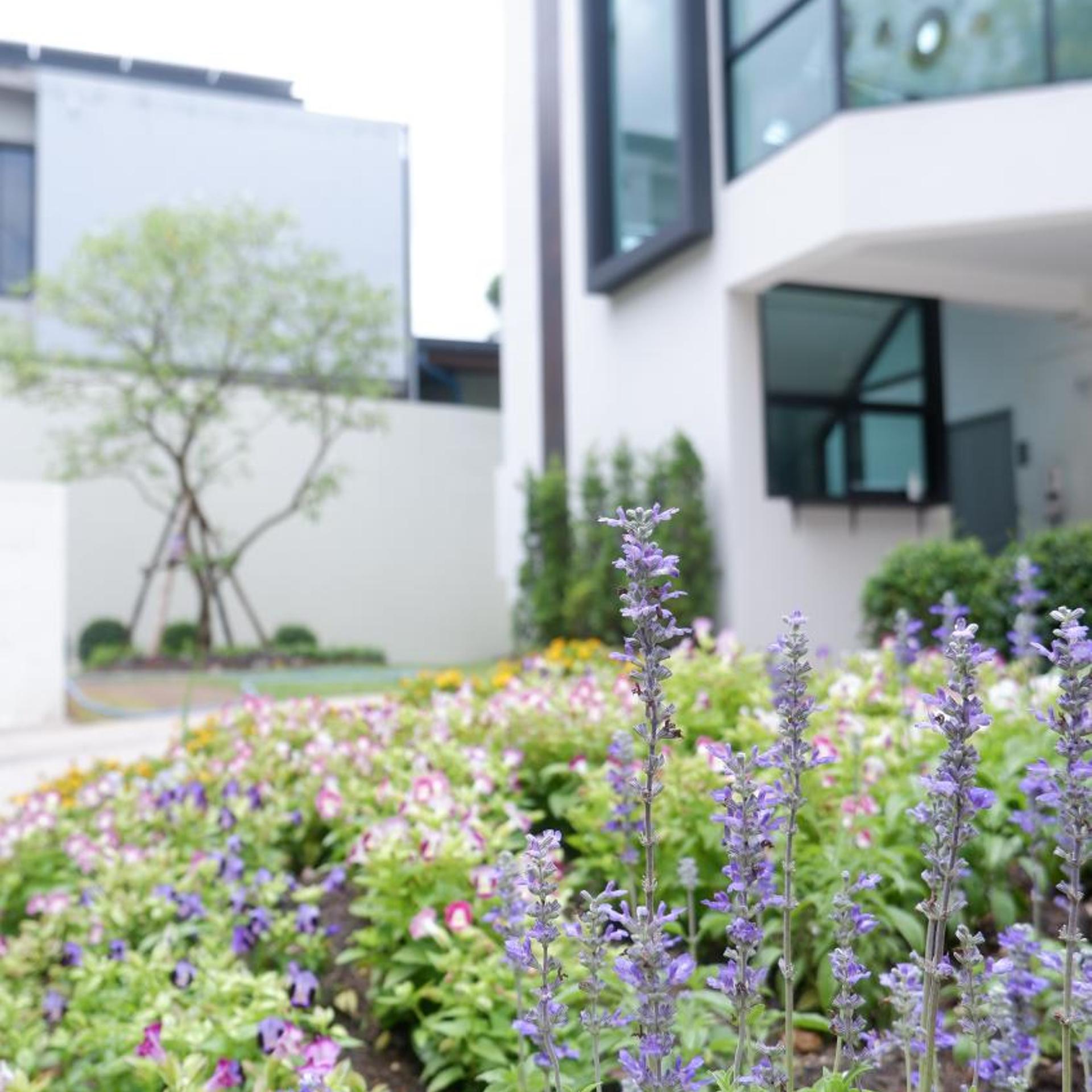 Darin Chiangmai Hotel and Residence 41/46