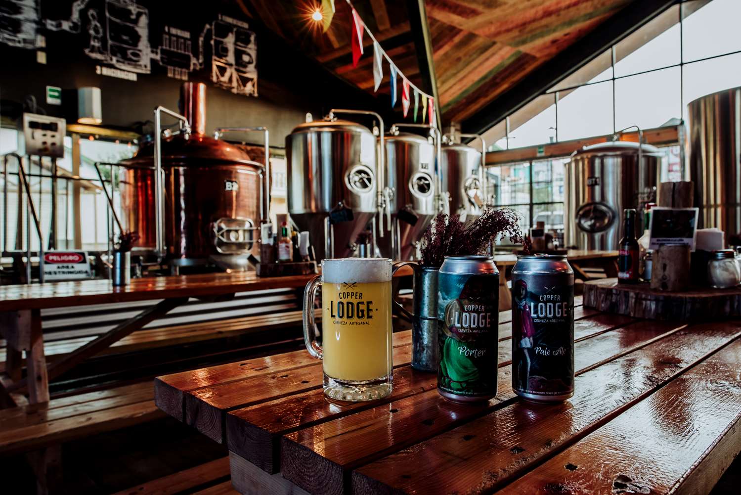 The Lodge At Creel 16/40