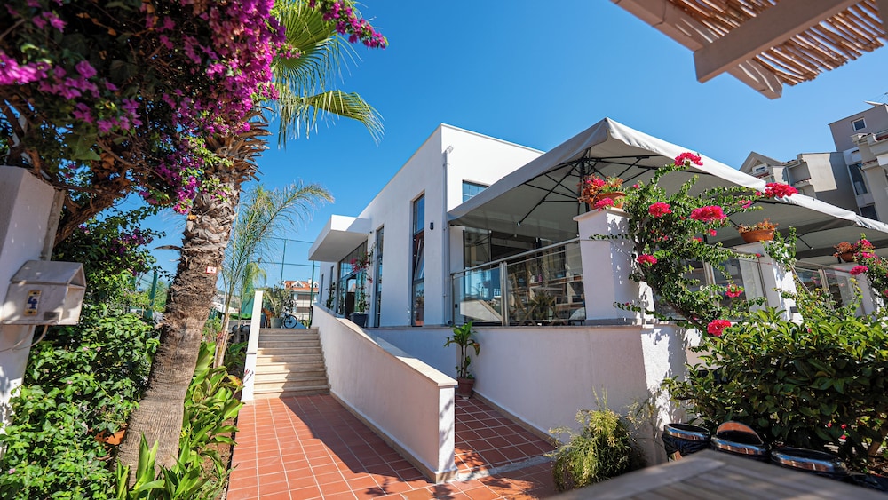 Begonville Hotel 4/50
