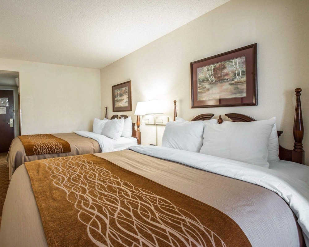 Comfort Inn and Suites at I-85 21/49