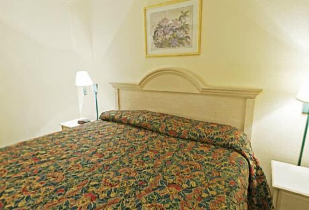 休斯顿美洲最优价值酒店 (FM 1960/ I-45)(Americas Best Value Inn-Houston Fm 1960/ I-45) 图片3