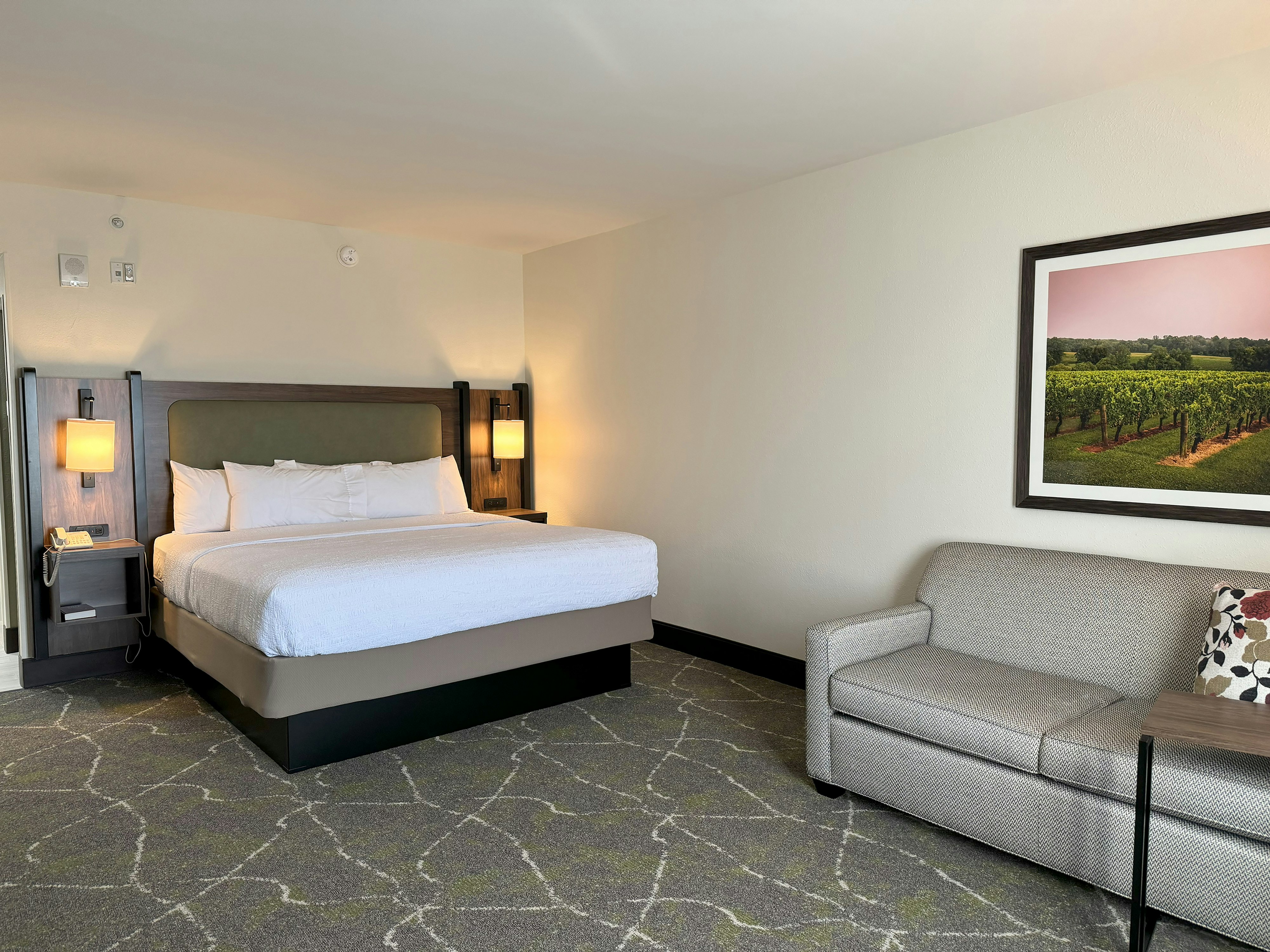 Room, King Bed