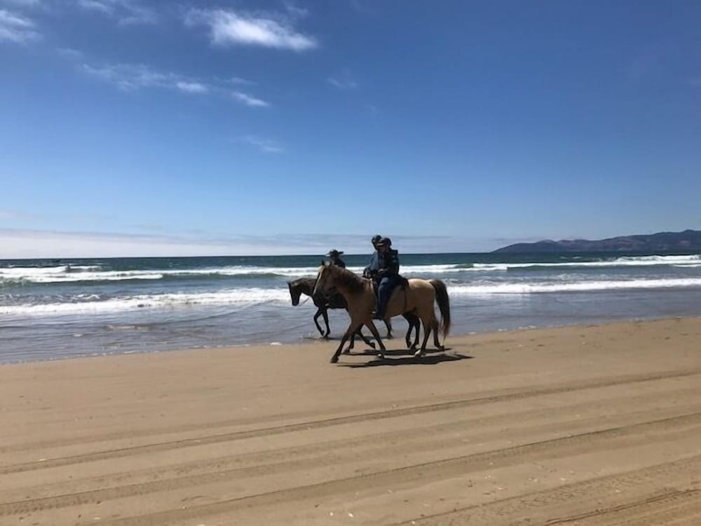Dune Surfer Inn 53/57