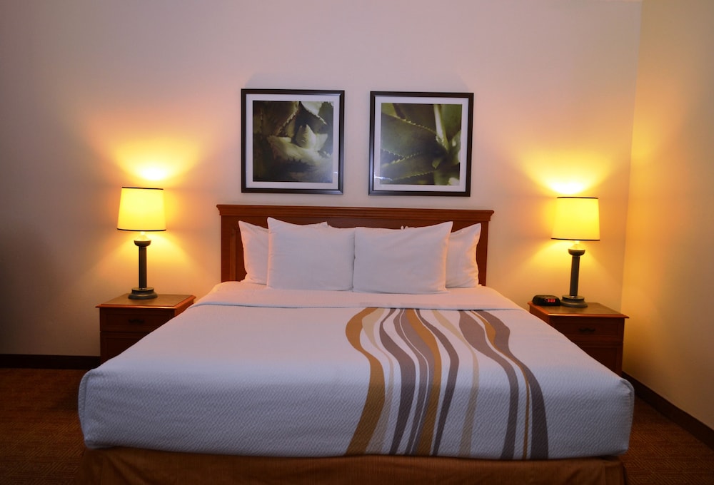 La Quinta Inn & Suites by Wyndham Lakeland East 13/37