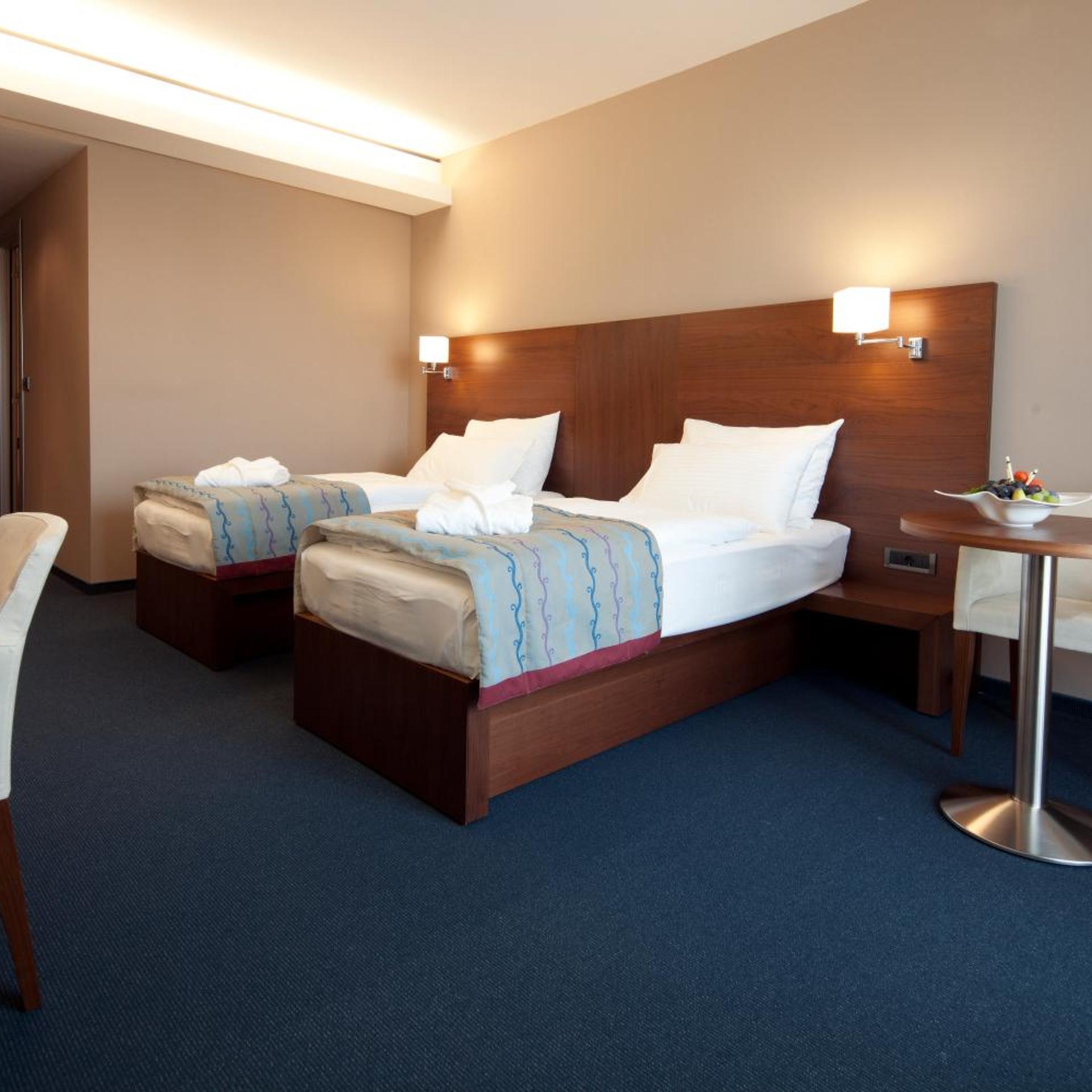 Deluxe, Double or Twin Bed