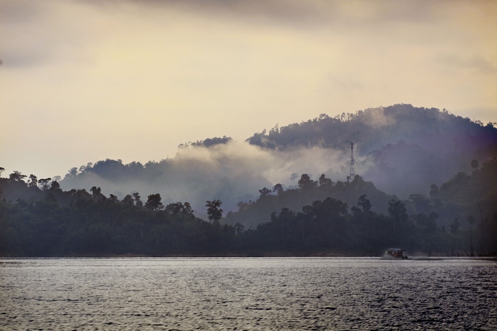 Belum Rainforest Resort 36/50