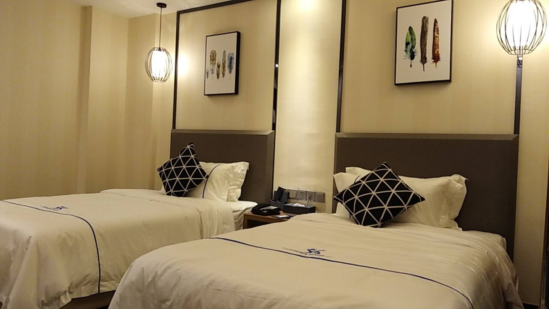 Homies Hotel 11/23