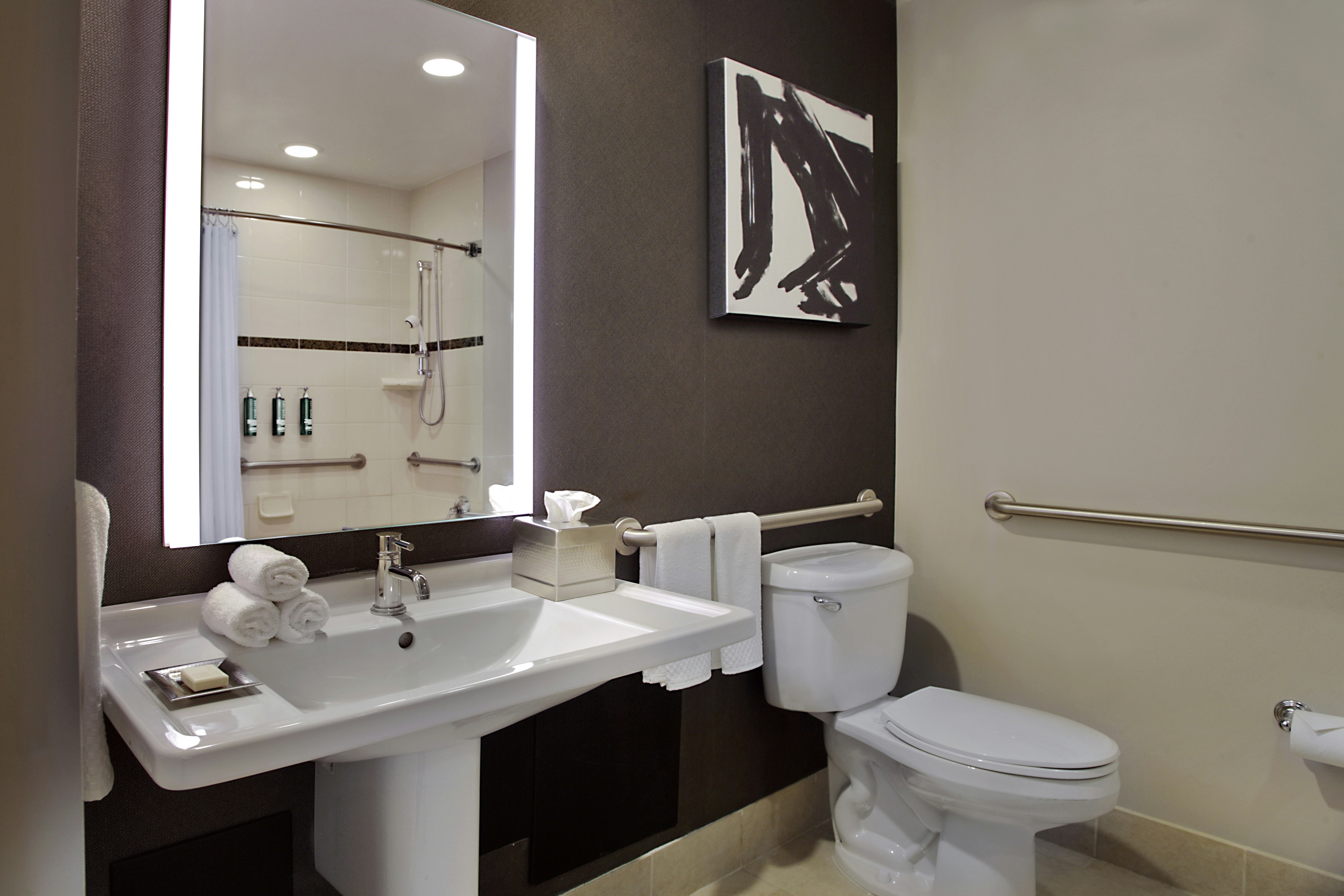 Deluxe, King Bed, Accessible, HILTON OMAHA 2/3