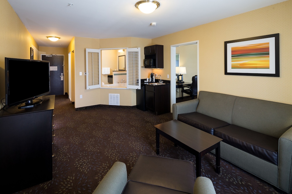 Holiday Inn Express Hotel And Suites Detroit North Troy 39/63